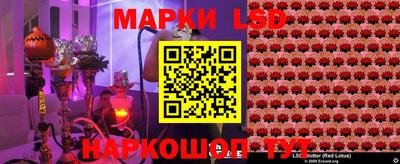 гашик Аргун