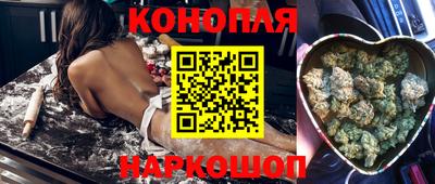 гашик Аргун