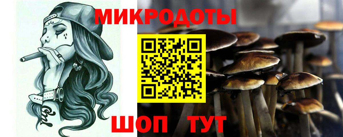 Аша  Псилоцибиновые грибы мухоморы  Вход с VPN 