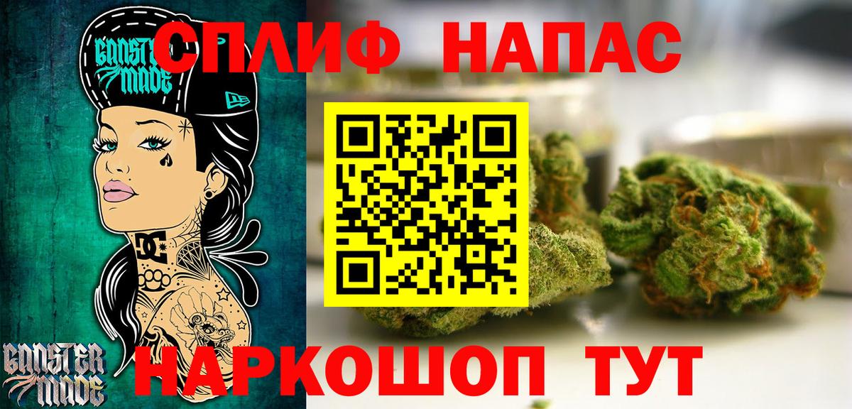 Конопля гибрид Аша